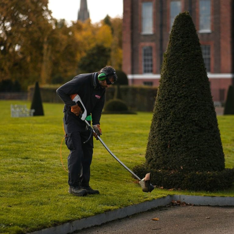 jardinage marseille copropriété Entretien Espace vert marseille